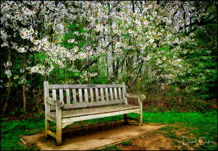 Bench-in-Rain_1030060qqq