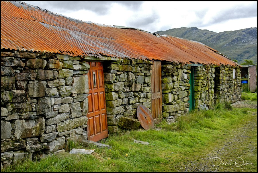 ARISDALE---09-08-0457dxo_raw