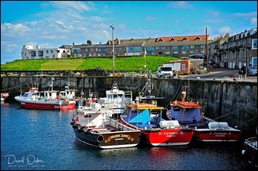 Northumberland_00318qq