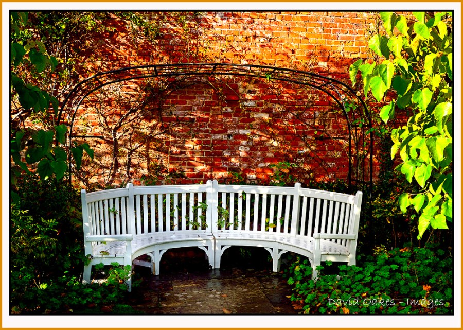 Shaddy-Seat-on-a-Wet-day-copy