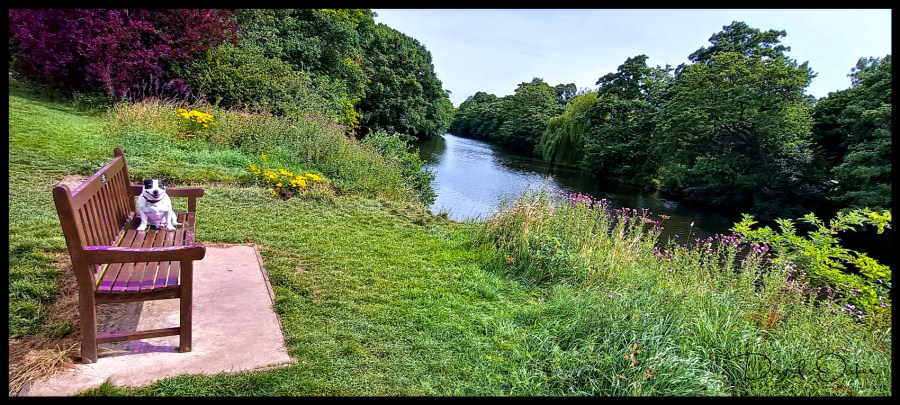 PSX_20200723_121852qqq