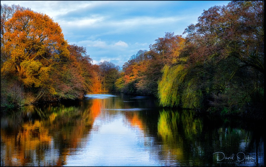 _DO80210_00005qqq-gg