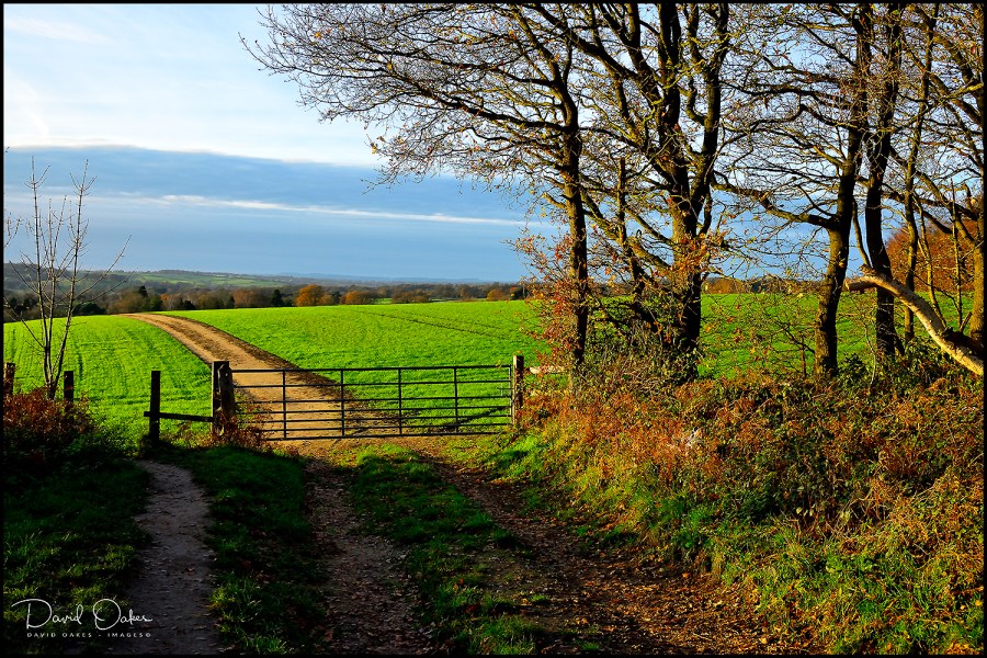 _DO80373_00012qqq-ed