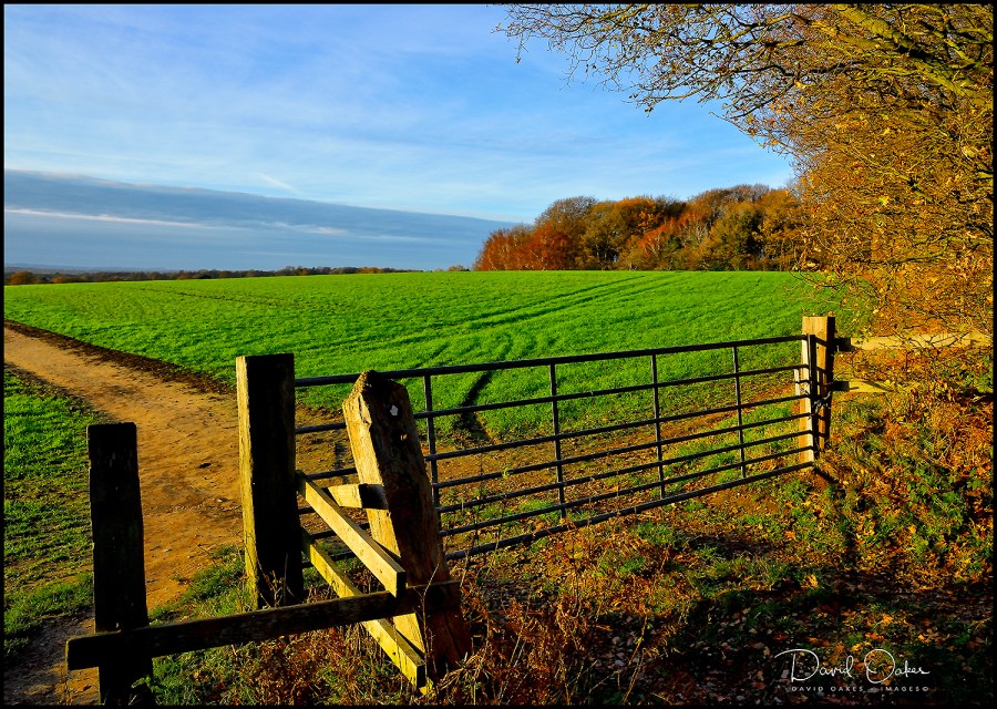 _DO80375_00014qqq-ed