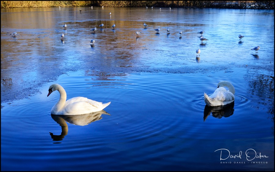 _DSC9646_00009qqq-web1000x1500-100