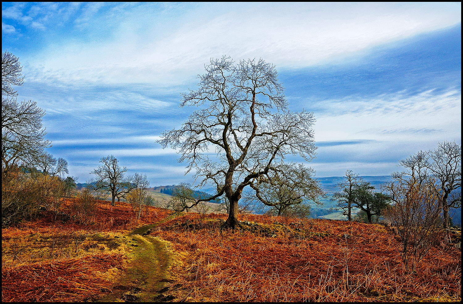 Soon-be-Spring-2010--_0030