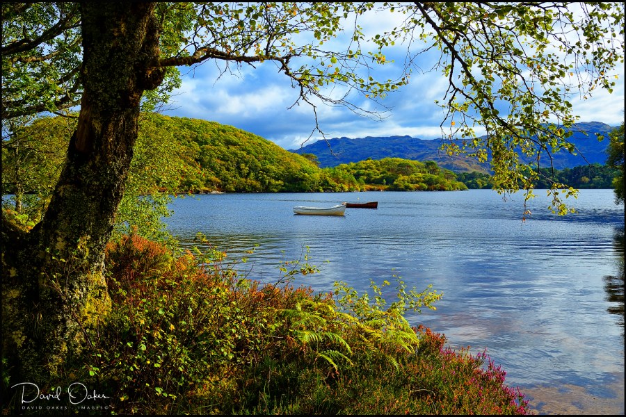 DOI_4689_00138-web1000x1500U-100