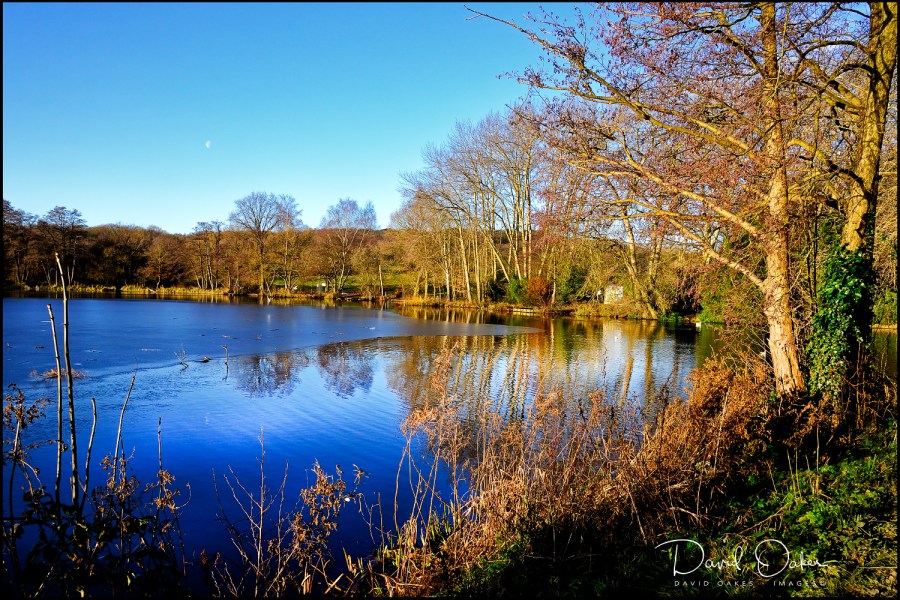 _DSC9687_00001qqq-web1000x1500U-100