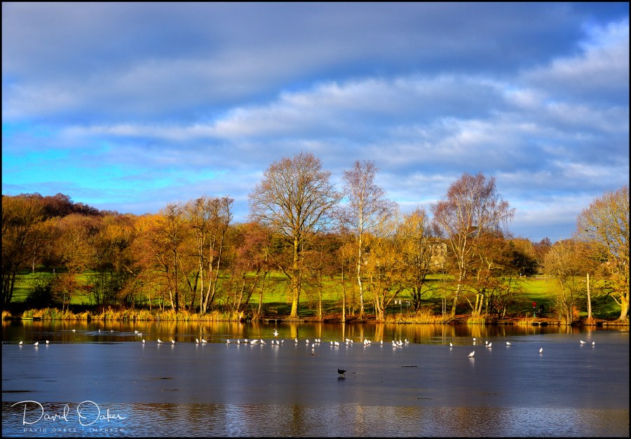 _DSC9720_00027qqq-web1000x1500U-100