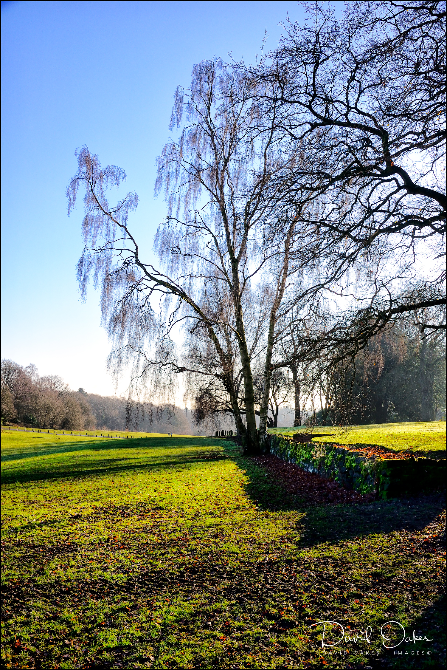 _DSC9770_00024qqq-web1000x1500U-100