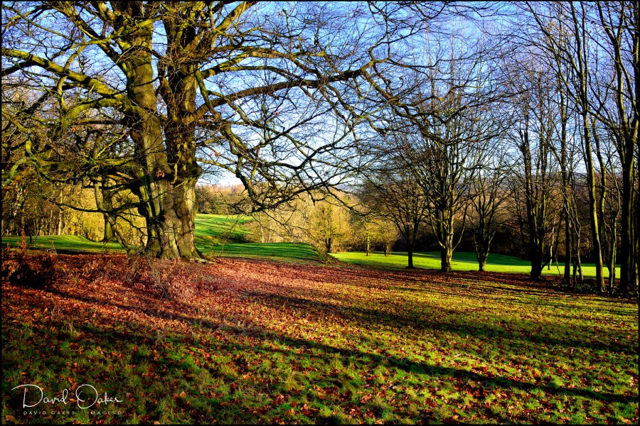 _DSC9792_00016qqq-web1000x1500U-100