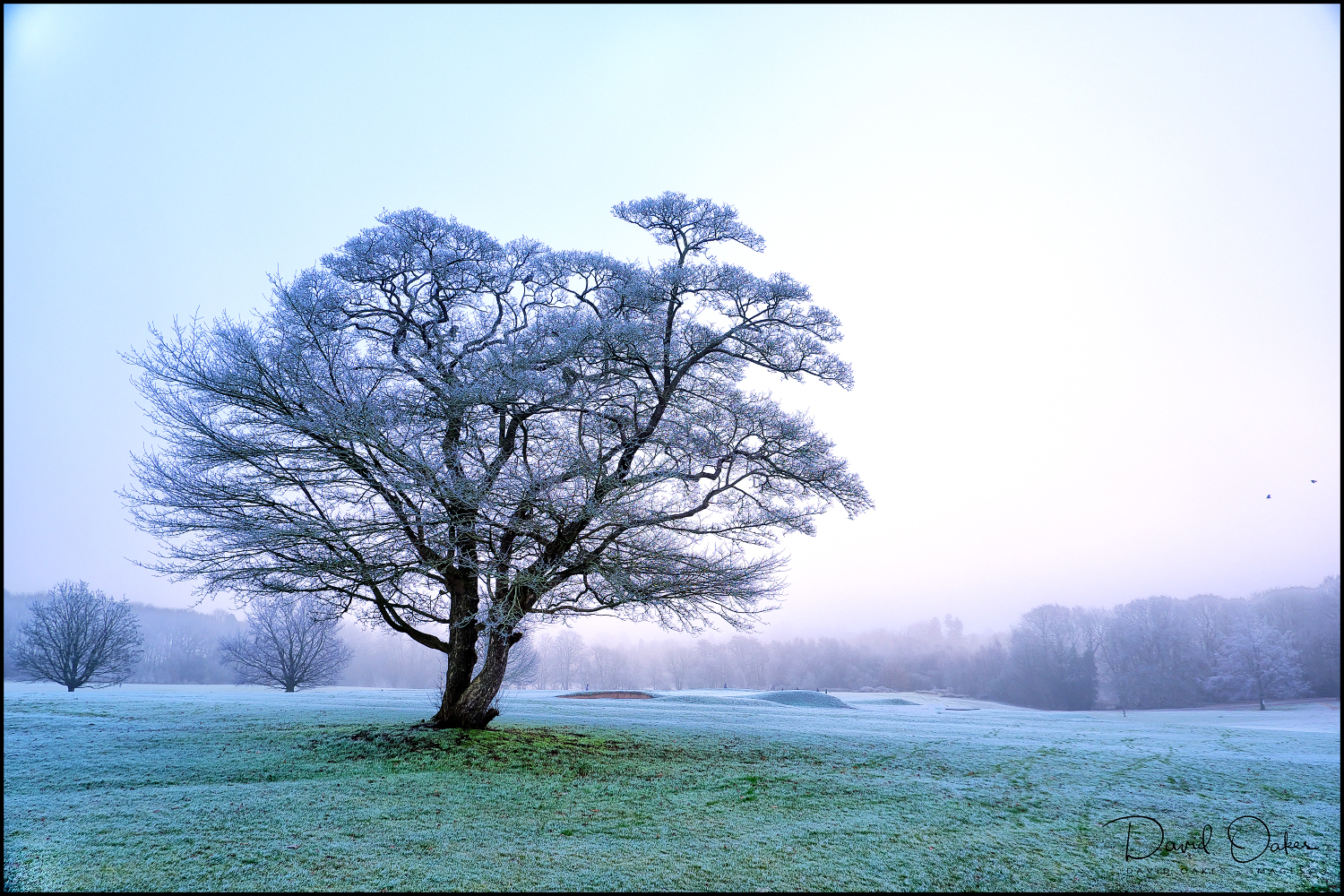 _DSF1588qqq-web1000x1500U-100