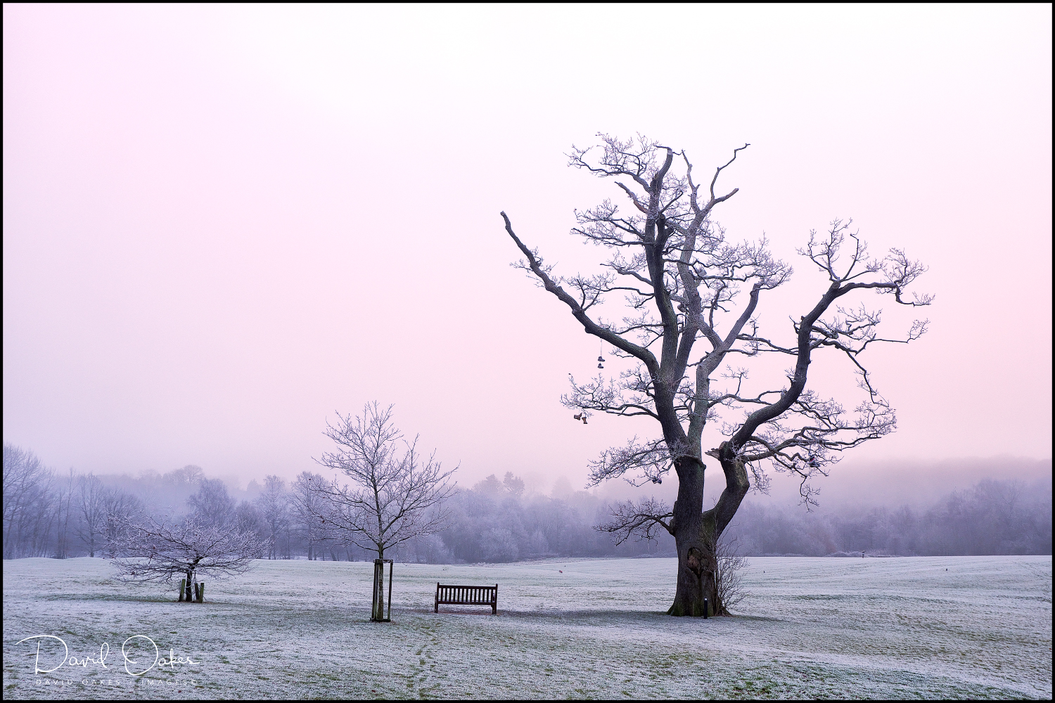 _DSF1601qqq-web1000x1500U-100