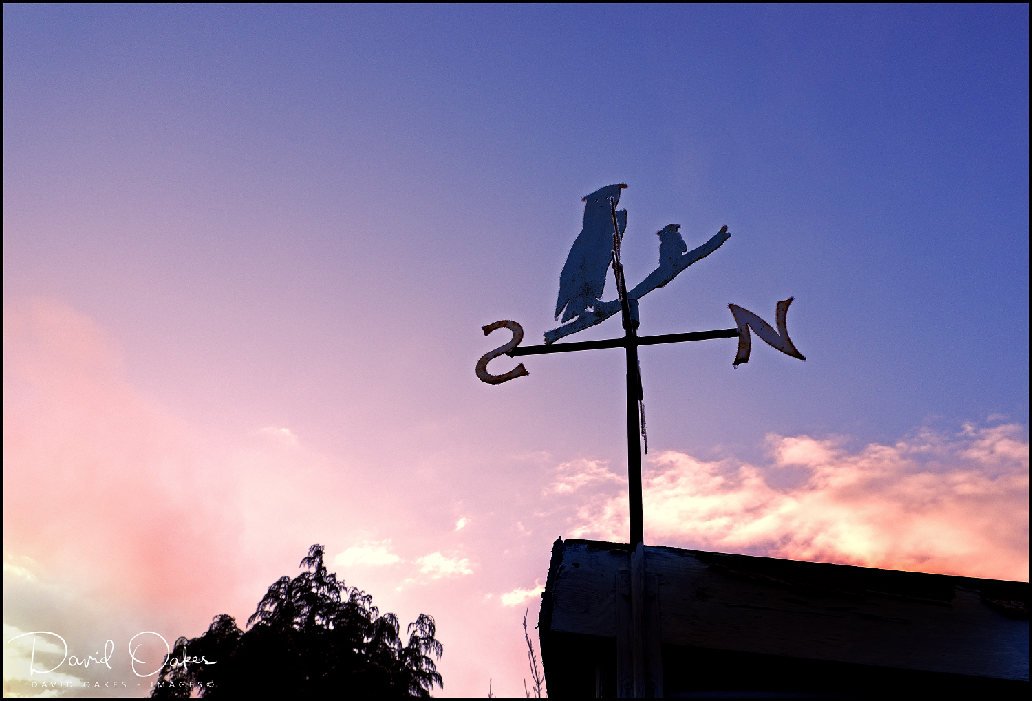 _DSF1621qqq-web1000x1500U-100