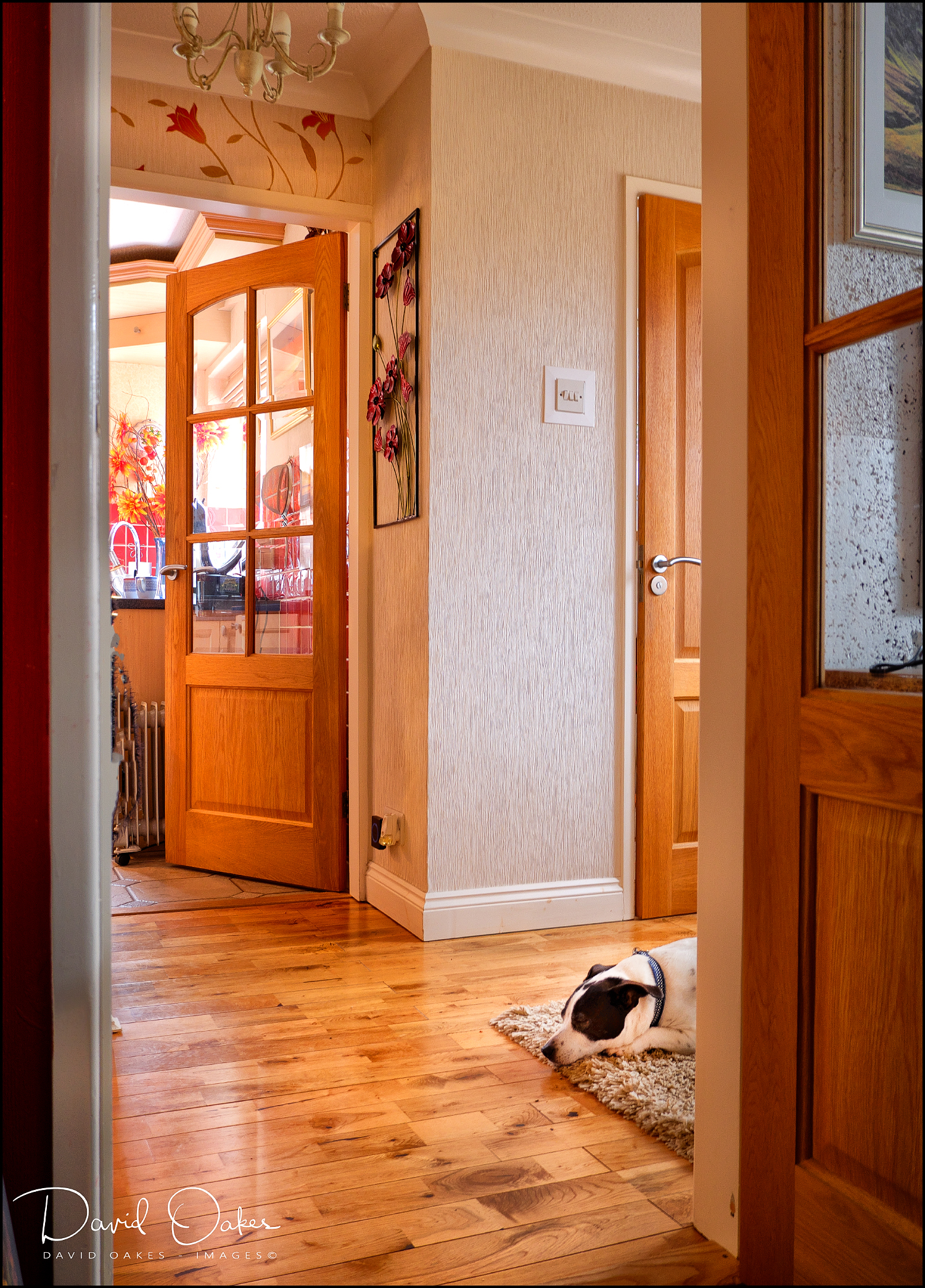 _DSF1632qqq-web1000x1500U-100