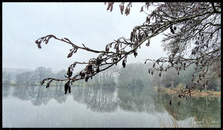 PSX_20210113_133700qqrr-web1000x1500U-100