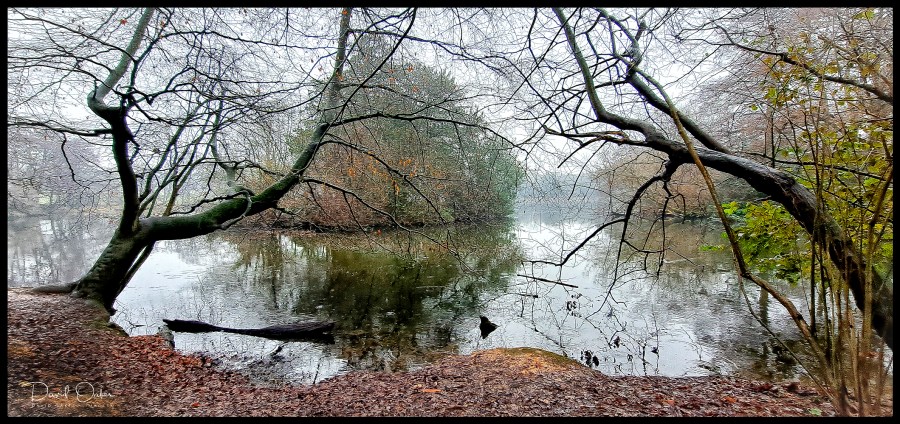 PSX_20210113_133813-web1000x1500U-100