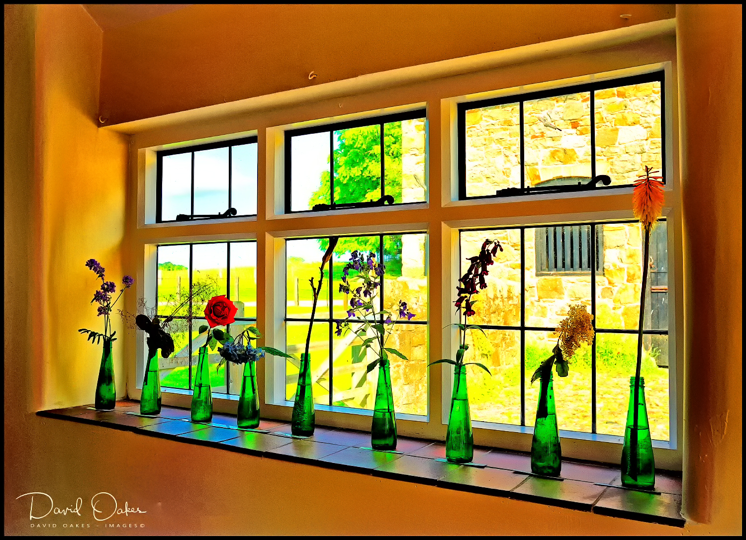 Wales 14 2 _3286-web1000x1500U-100