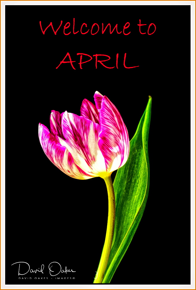 Welcome to April