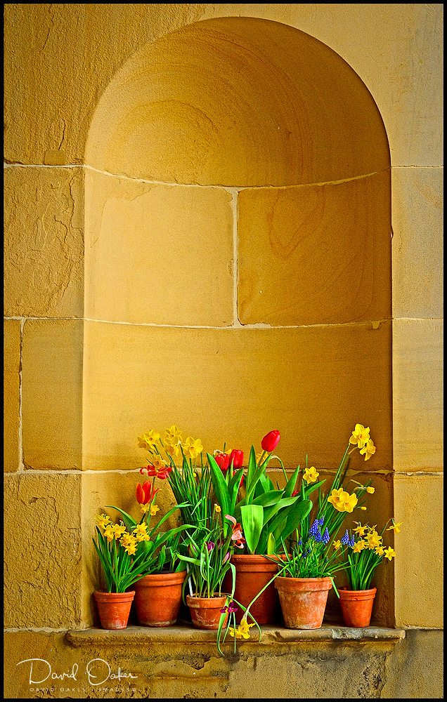 8.4-Spring-Bulbs-Display