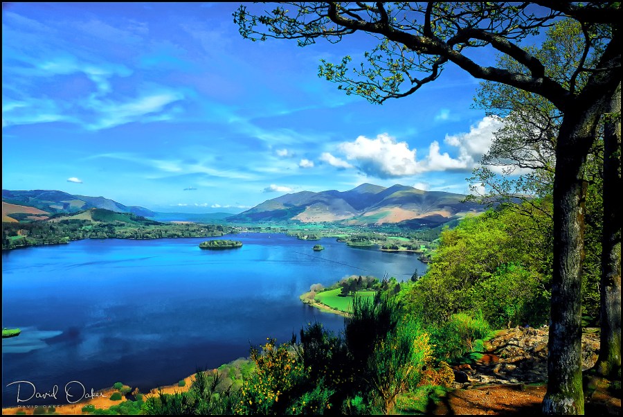 Derwent-Water-&amp;-Skiddaw-from-Lodore-Woods