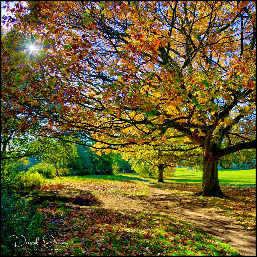 Autumn will soon be here