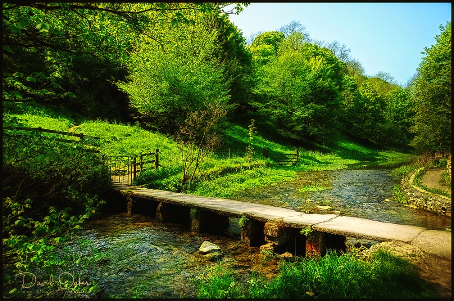 Lea Rhododendron Gardens