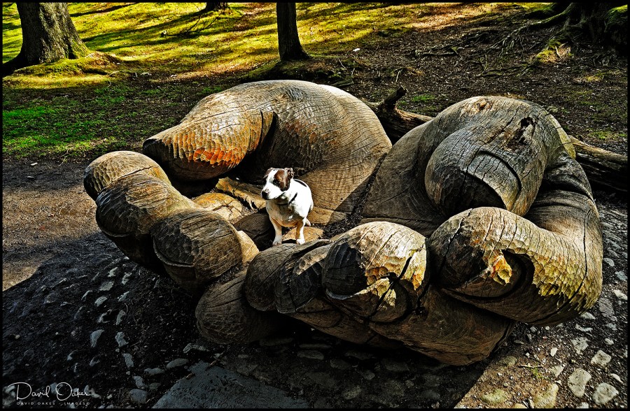 Cumbria-1_198-You-Need-hands