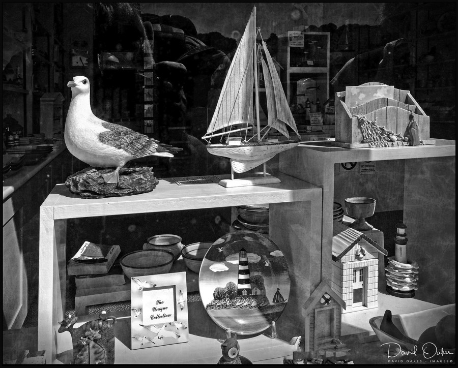 South-Hams,Start-Bay,-Devon0135-bbtt