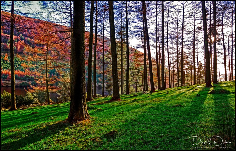 Upper Derwent Valley, Derbyshire
