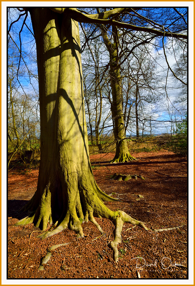 DOI_7587_00018-bb-tt