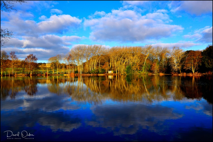 Allestree-Lake