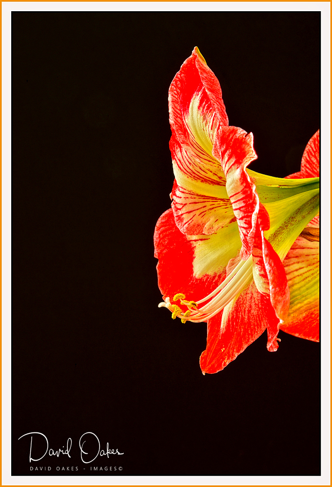 DOI_7446_00003-bb-tt - Copy