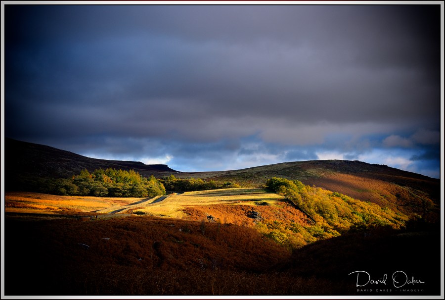 _DSC0178qqqzzzbbbbb-vv