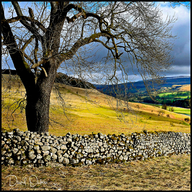 Yorkshire-2010--_0180sm