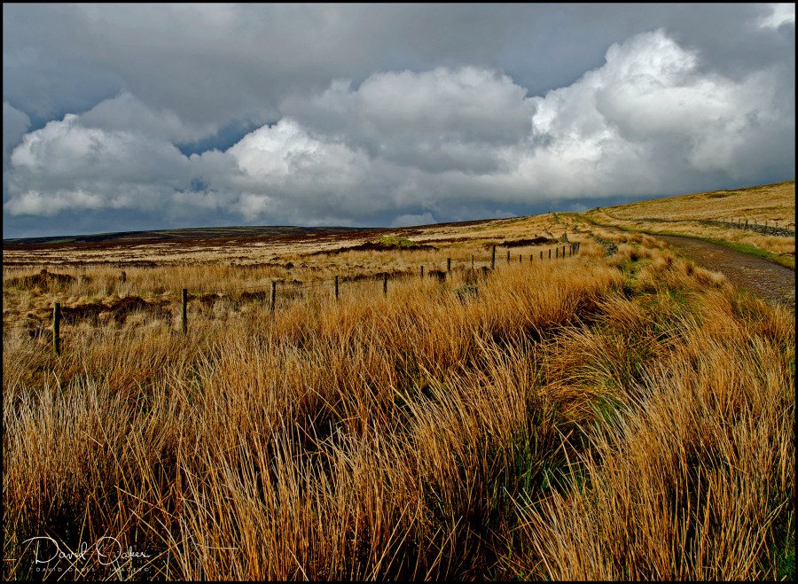 Derbyshire-0641_tiff_raw
