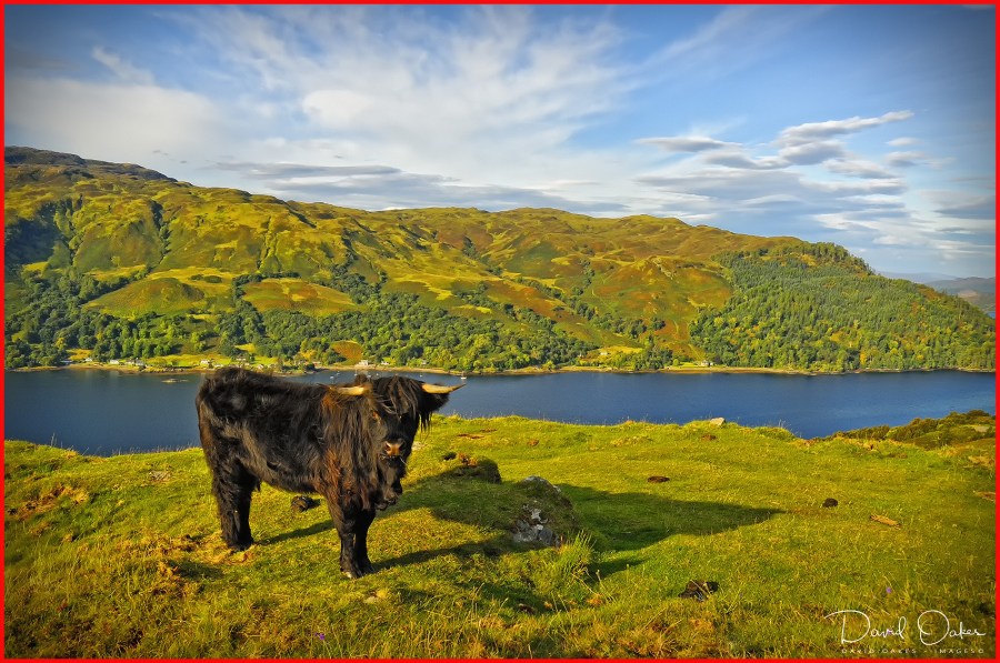 DORNAN--09-08-0343bb-copy