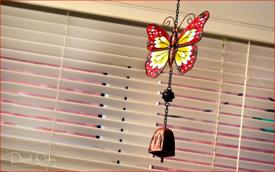 _DOI0456_00031qqq-ww