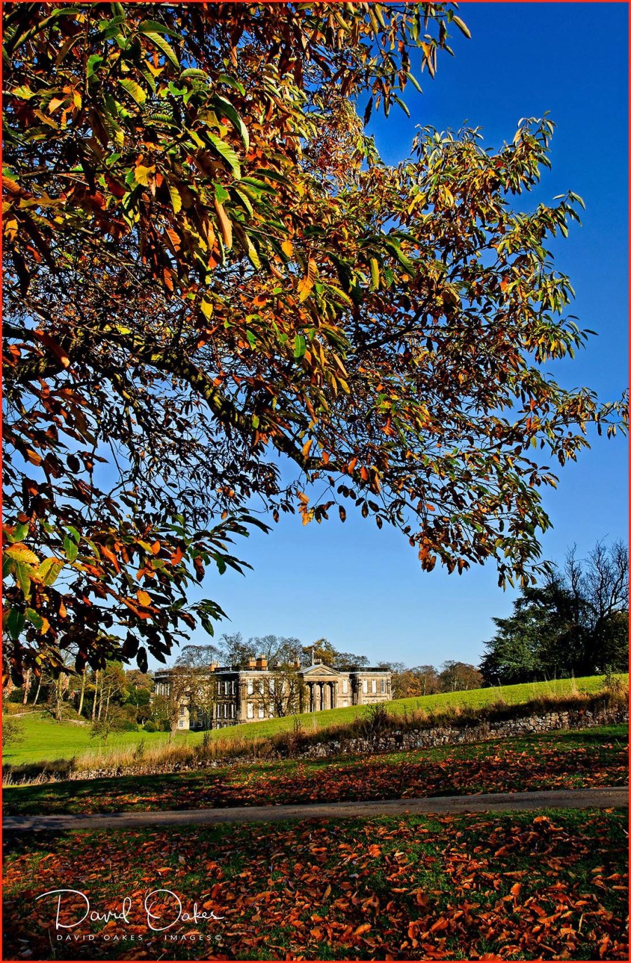 _DSC1976_09_11_09_058Tiff_raw