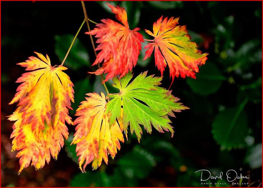 FB_IMG_1666289487660