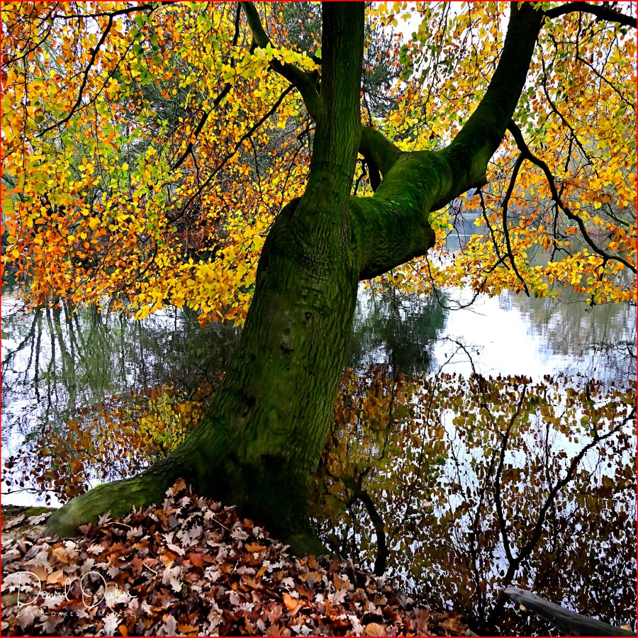 _DOX0424_00004qqq-qq