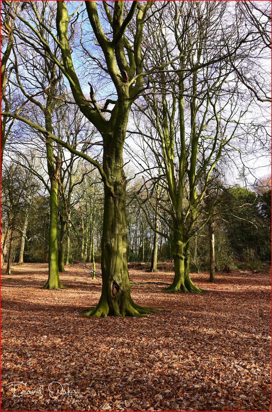 DOI_0241_00007qqq-ww