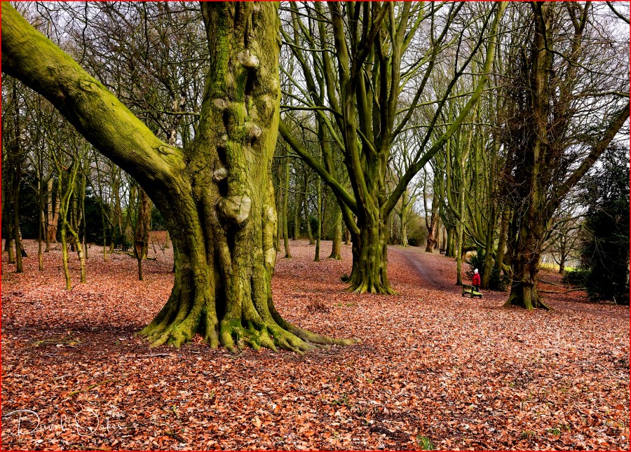 DOI_0248_00014qqq-www