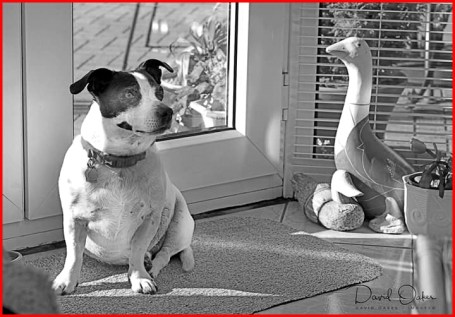 FB_IMG_1572448023507 - Copy