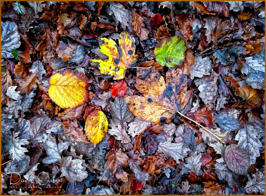 IMG_20181128_111407 (1)qbwb