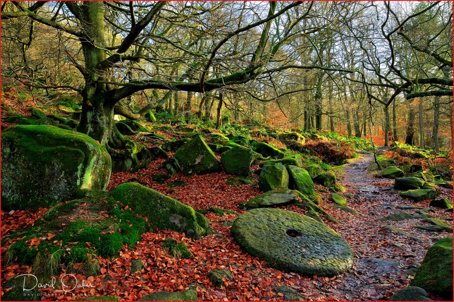 Padley Gorge