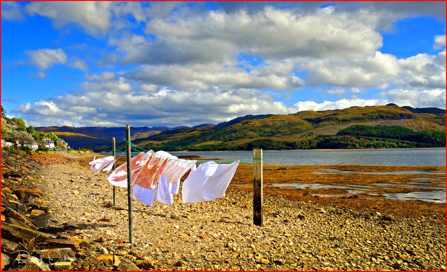 CARRON----09-08-0483dxo_raw