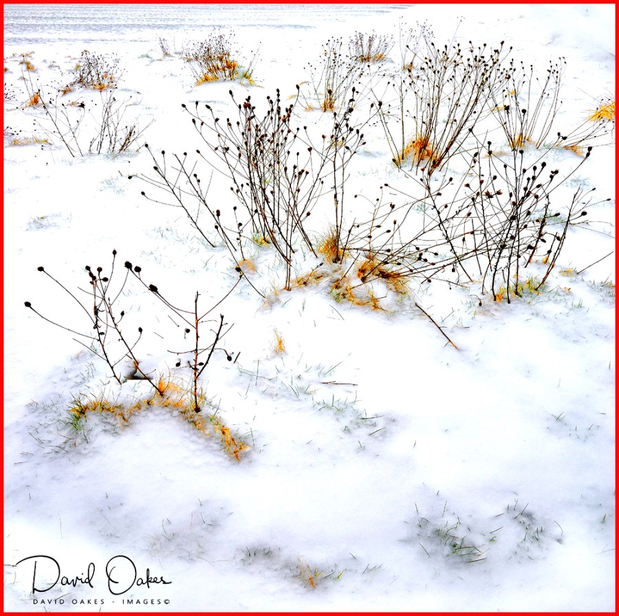 _DO85021aa-bbb-----sq