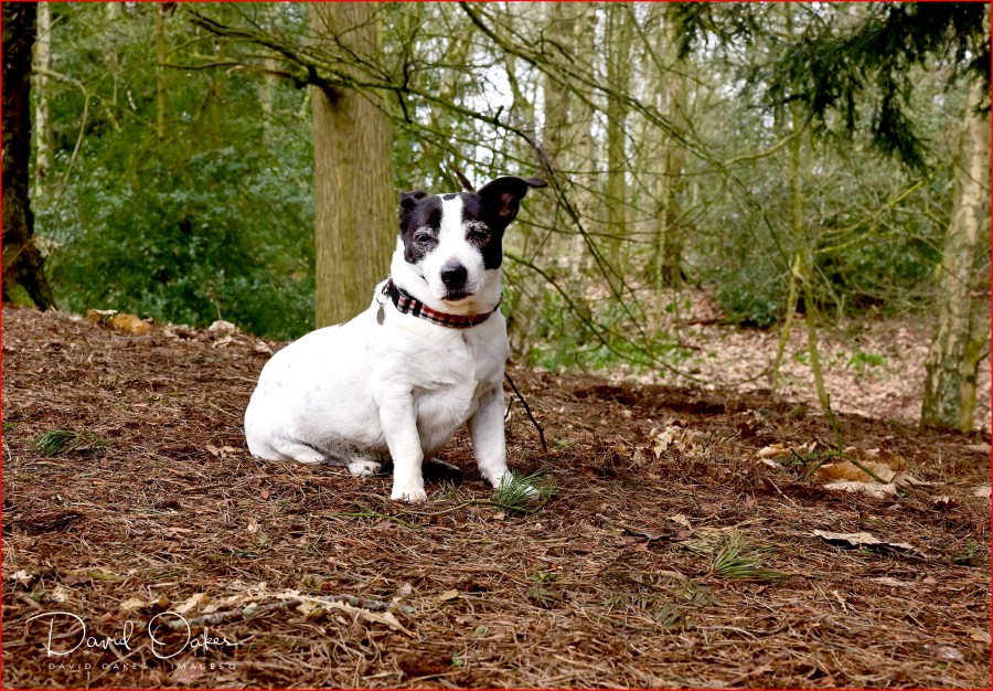 DOI_0732_00006qqq.jpg-ww