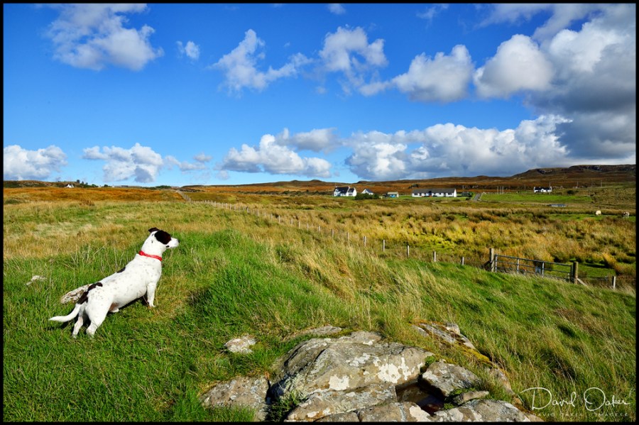 DOI_4889_00017bbbttt